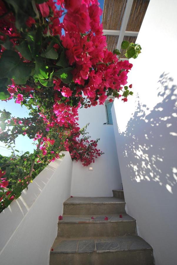 Ark Tinos Apartment Agios Ioannis  Exterior foto